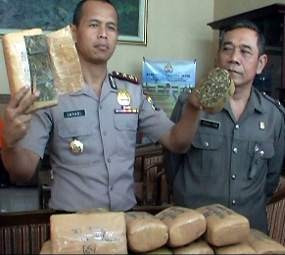 Bosan Jadi Petani, Warga Aceh Alih Profesi Jadi Bandar Ganja