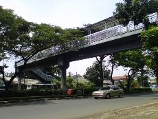 Foke Minta Dinas PU DKI Beri Perhatian Tewasnya Ebon