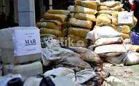 Puluhan karung mi basah dan kering beserta bahan formalin dari Magelang siap untuk dimusnahkan.