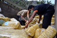 Barang bukti yang akan dimusnahkan diangkut menggunakan 2 truk.