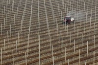 Traktor mengolah tanah untuk ladang apel. Korea Utara mencoba mandiri dengan menghidupi kebutuhan pangan sendiri.  (Foto: Bobby Yip/Reuters).