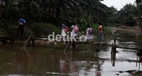 Jembatan yang merupakan akses warga untuk menuju jalan utama tersebut sangat berbahaya karena haya dibuat seadanya tanpa pelindung.
