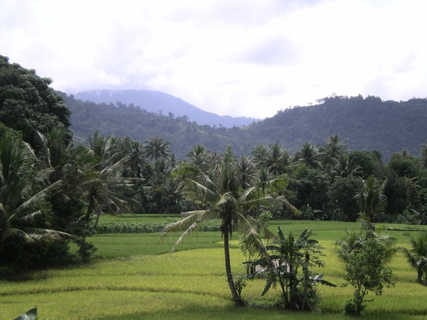 Cari Tempat Sejuk Di Padang Ini Dia Tempatnya