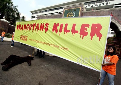 Aktivis Minta Jaksa Jerat Pembantai Orangutan