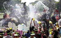 Warga mencipratkan air ke arah gajah Thailand dalam Songkran Festival yang digelar setiap pertengahan April. Reuters.