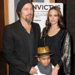 Brad Pitt dan Jolie Bangun Taman Bawah Tanah untuk Anak-Anaknya