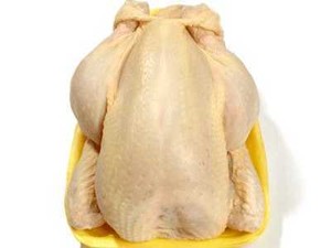 Produk Ayam Mentah Bisa Terkontaminasi Bakteri E-Coli