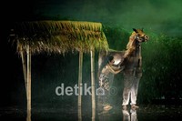 pementasan yang digelar hanya sehari pada hari sabtu yaitu pukul 15.00 dan 20.00