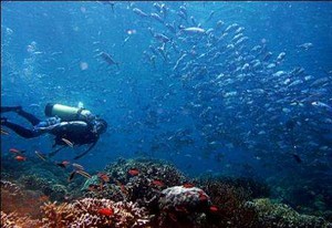 Menyelami Seribu Pesona Bawah Laut Kepulauan Selayar