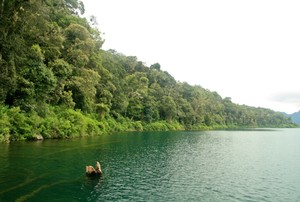 Danau Tertinggi Se-Asia Tenggara Ada di Jambi