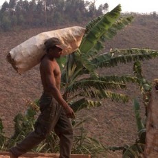 Penghuni Pertama Pulau Madagaskar Berasal dari Kerajaan Sriwijaya