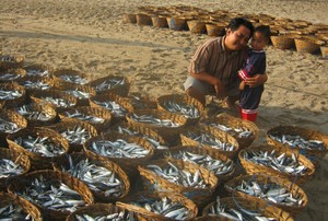 nggak bosan ke pantai tanjung papuma jember