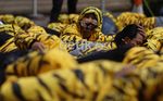 Harimau Sumatera Geruduk Kemenhut