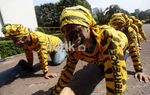 Harimau Sumatera Geruduk Kemenhut