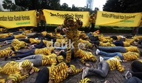 Habisnya hutan rawa gambut ini mengancam habitat harimau Sumatera.