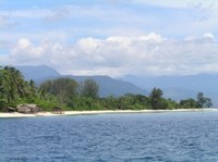 Membidik Ragam Fauna Papua dari Cagar Laut Teluk Cendrawasih