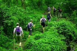  Ini Dia 5 Tips Ekowisata di Hutan