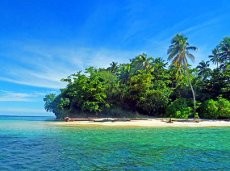 Membidik Ragam Fauna Papua dari Cagar Laut Teluk Cendrawasih