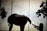 Permintaan Seni Peran Makin Melesat