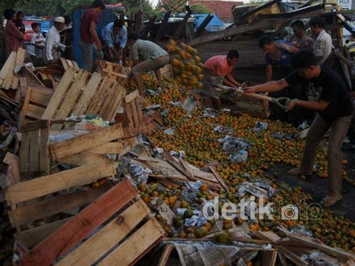 Jeruk dalam Truk Berceceran Dihantam Kontainer