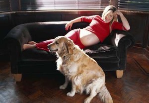 Anjing Bermanfaat Bagi Wanita Hamil