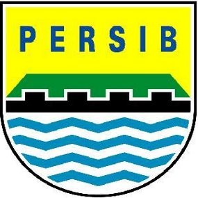 Manajer Persib: Tak Perlu Takut Main di Kandang Lawan