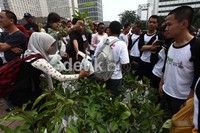 Sebanyak 500 bibit pohon dibagikan kepada masyarakat.