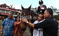 Yanyan Hadiansah menjadi juara World Jumping Challenge 2012 kategori A.