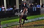Yanyan Juara World Jumping Challenge