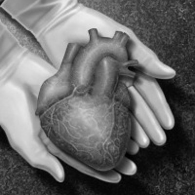 Harga Organ Tubuh di Pasar Gelap: Ginjal Rp 2,4 M, Hati Rp 1,4 M Harga Organ Tubuh di Pasar Gelap: Ginjal Rp 2,4 M, Hati Rp 1,4 M