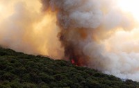Kebakaran yang terjadi sejak sejak (22/4) tersebut menghanguskan lahan hutan seluas 3500 hektar.(AFP/Hector Guerrero)