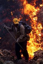 Si Jago Merah Hanguskan Ribuan Hektar Hutan