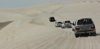 Tidak heran mobil-mobil SUV seperti Land Cruiser menjadi mobil paling laris di Qatar. (dok. Ahmad Muhibbuddin)
