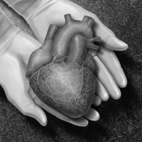 Organ untuk Donor Harus Buat Kemanusiaan Bukan Komersial