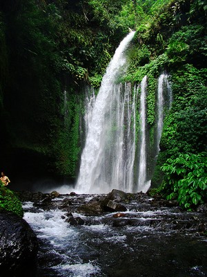 Menikmati Kedamaian yang Disajikan Air Terjun Sendang Gila P