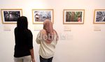 Ayo, Lindungi Hutan dari Sekarang
