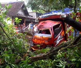 Hindari Kucing, Truk Pengangkut Ikan Tabrak Pohon dan Rumah