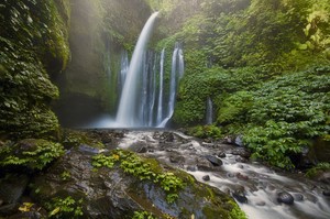 Air Terjun Tiu Kelep Lombok Memberi Sangat banyak Kejutan