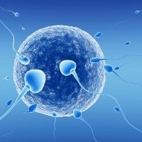 Matinya Sperma Bisa Karena Ini