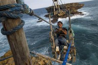 Untuk mendapatkan lobster laut ini, para nelayan rela menyeberangi karang-karang dengan kereta gantung yang mereka buat sendiri. REUTERS/Dwi Oblo.