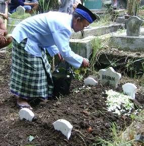 Bayi Kembar Siam Malang Hanya Nikmati Dunia 1,5 Jam