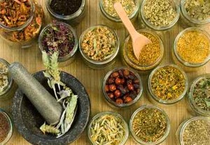 Dokter Indonesia Boleh Resepkan Herbal untuk 26 Penyakit Ini