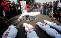 Selain gurita, sejumlah pendemo juga membawa beberapa pocong.