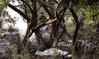 Helikopter tersebut jatuh dan terbakar. Tampak puing-puingnya berserakan. REUTERS/Stringer.