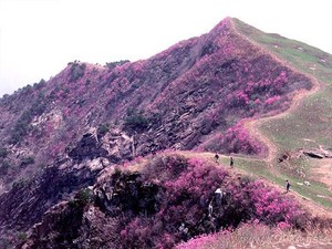 Gunung Hallasan, Puncak Tertinggi di Korea Selatan