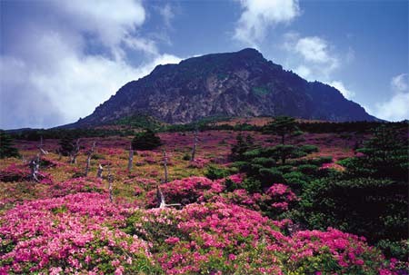 11 Foto Pemandangan Indah Di Korea Kumpulan Gambar Pemandangan