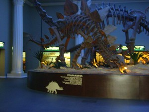 Museum Satwa, Satu Lagi Destinasi Menarik di Malang
