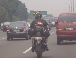 Tiger Masuk Tol, Mungkin Nyasar