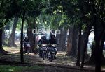 Hindari Macet Jalur Hijau Pun Diterjang