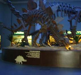 Jawa Timur Punya Museum Satwa